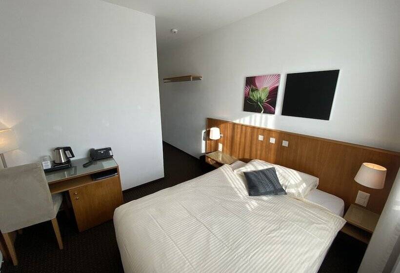 חדר יחיד בסיסי, Businesshotel Lux