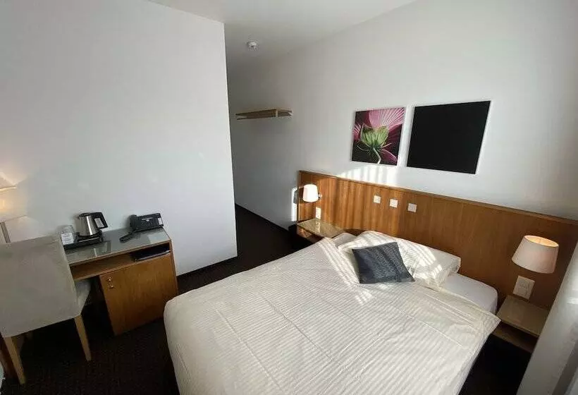 シングルベーシックルーム, Businesshotel Lux