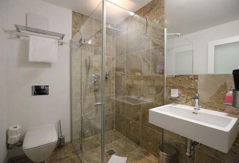 חדר אקונומי, Businesshotel Lux