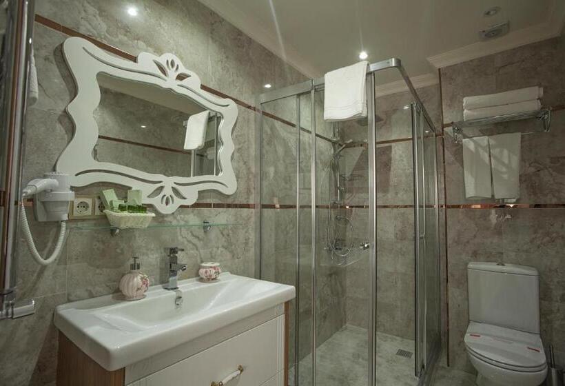 اتاق سوپریور سه تخته, Miran