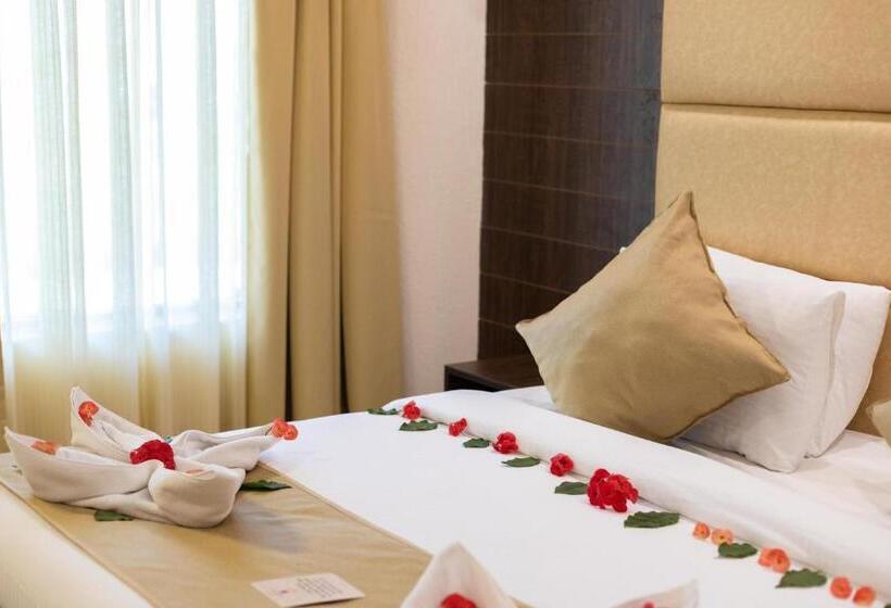 חדר פרמיום, The Solitaire