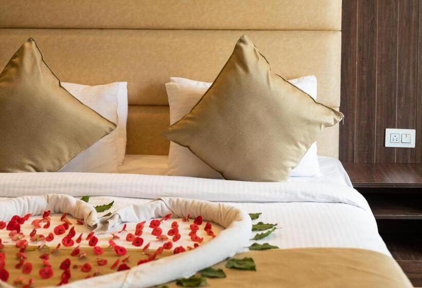 חדר פרמיום, The Solitaire