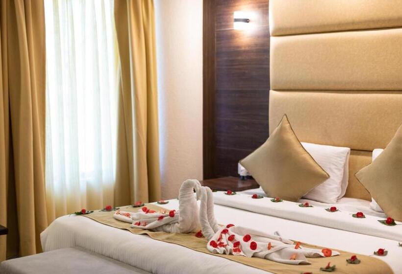 חדר פרמיום, The Solitaire