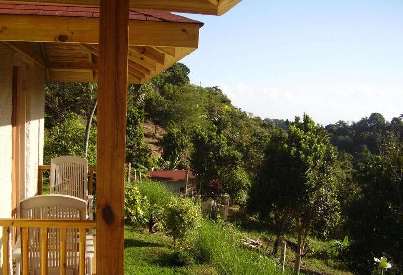 اتاق استاندارد, Teresinajamaica