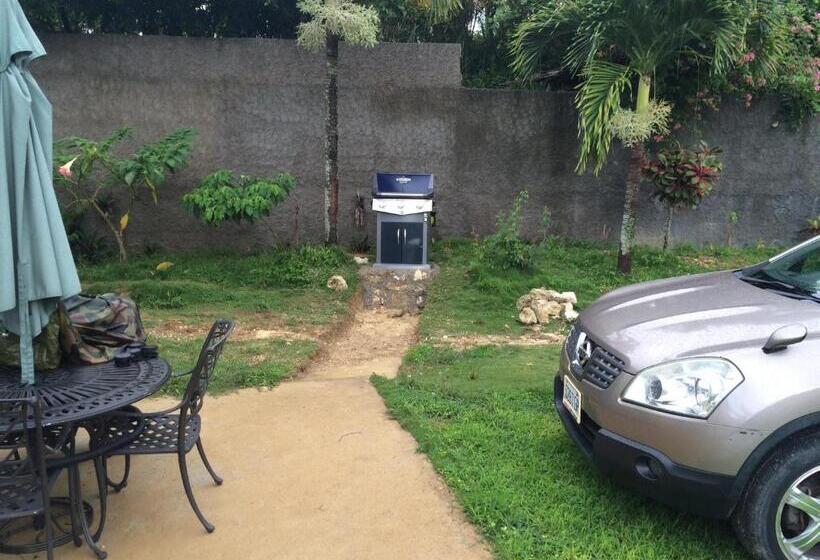 اتاق استاندارد, Teresinajamaica