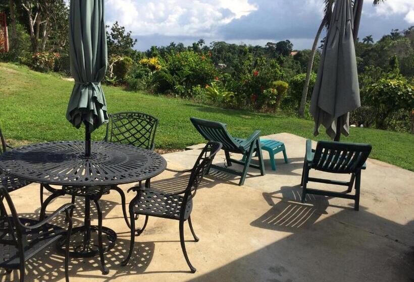 اتاق استاندارد با بالکن, Teresinajamaica