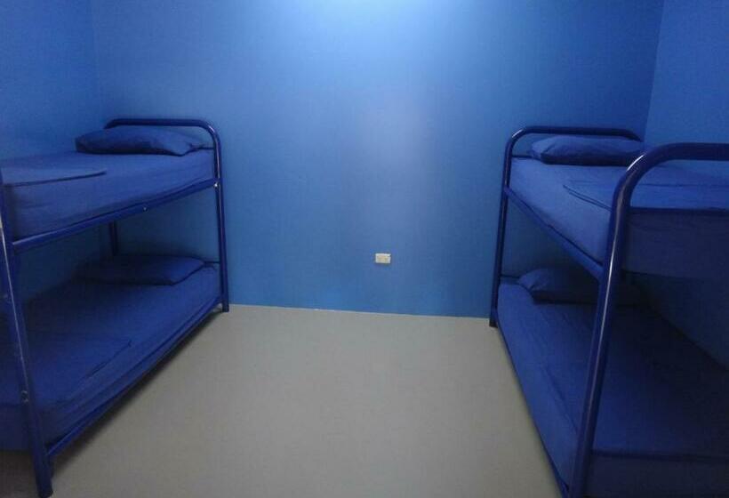 تختخواب در اتاق مشترک, Cable Beach Backpackers   Hostel