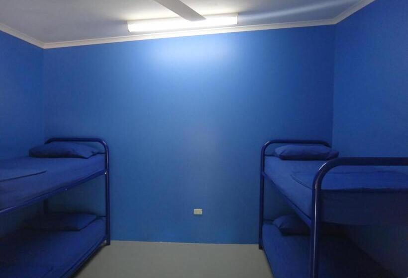 تختخواب در اتاق مشترک, Cable Beach Backpackers   Hostel