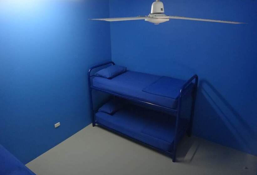 تختخواب در اتاق مشترک, Cable Beach Backpackers   Hostel