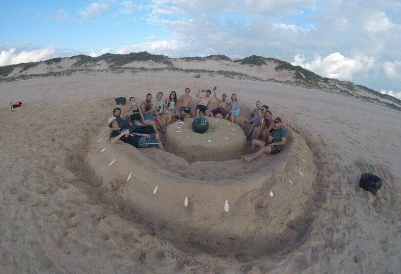 تختخواب در اتاق مشترک, Cable Beach Backpackers   Hostel