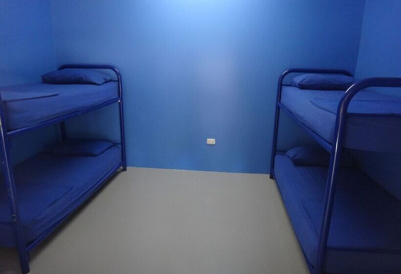 تختخواب در اتاق مشترک, Cable Beach Backpackers   Hostel