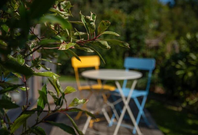 キングサイズベッドのスタンダードルーム, Rockmount Rooms & Apartment