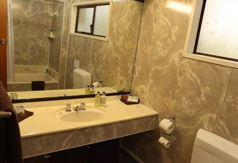 استودیو استاندارد با تخت کینگ, Beetham Park Motel