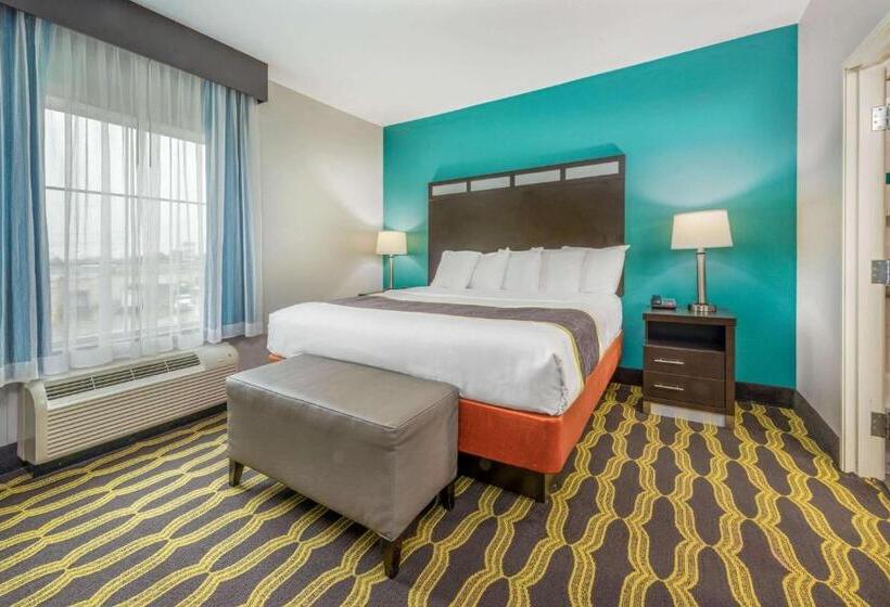 带大床的套房, La Quinta By Wyndham Houston Humble Atascocita