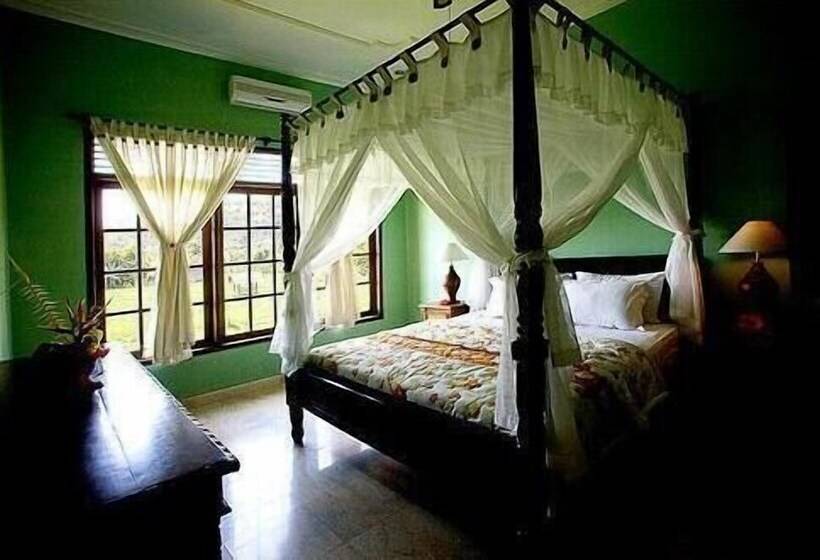 فيلا 3 غرف نوم, Apa Kabar Villas