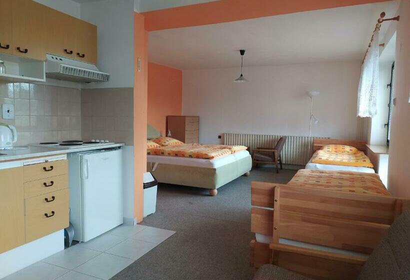 شقة غرفة واحدة ذات إطلالة, Apartmány Niva