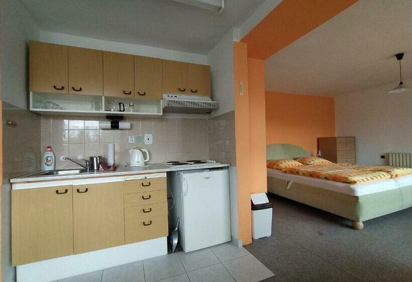 침실 1개 전망 아파트, Apartmány Niva