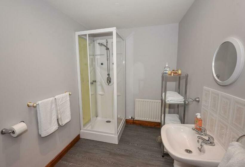 스탠다드 룸, Ardkeen House B&b