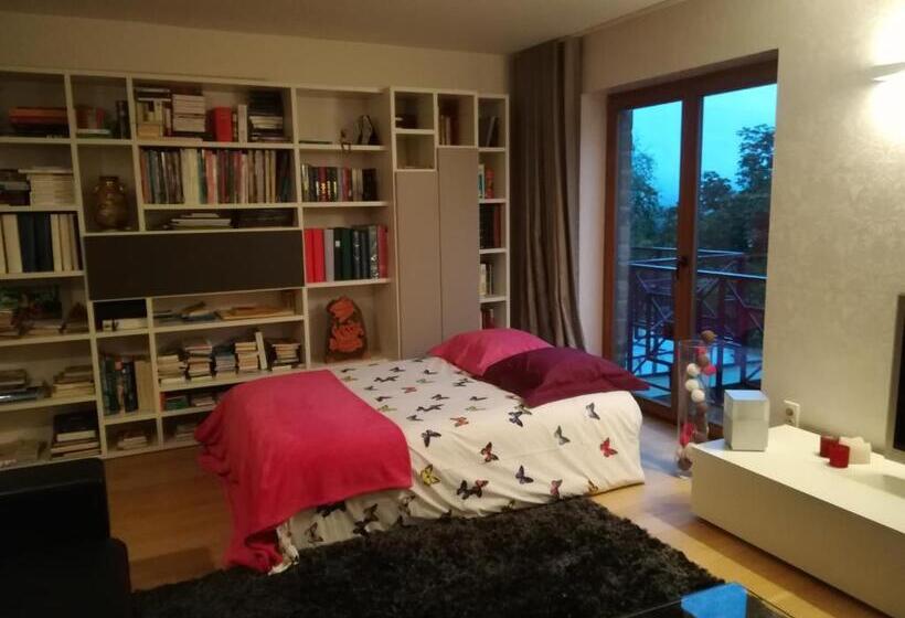 スタンダードルーム, Carpe Diem