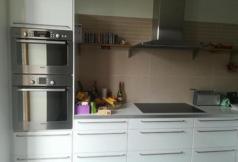 スタンダードルーム, Carpe Diem