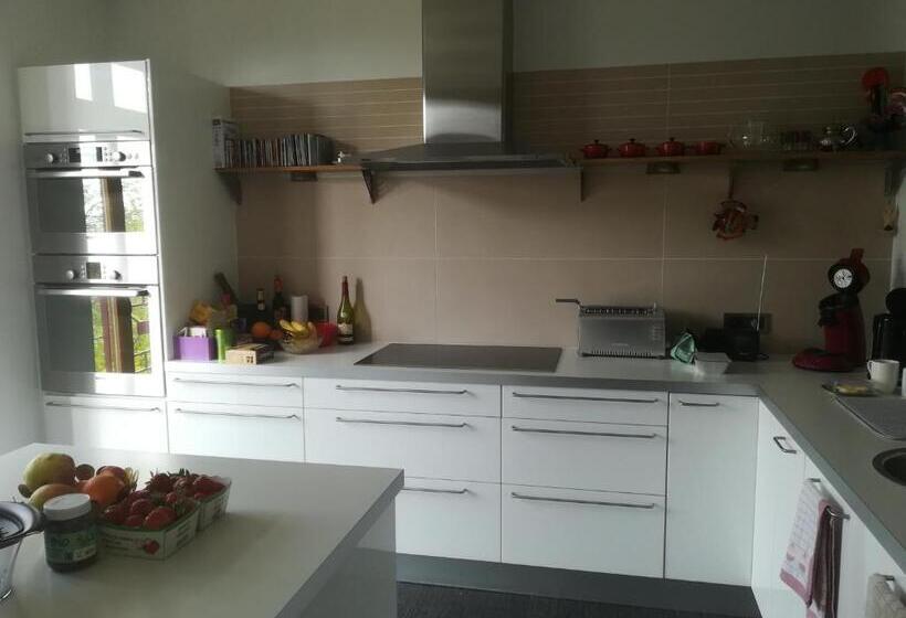 スタンダードルーム, Carpe Diem