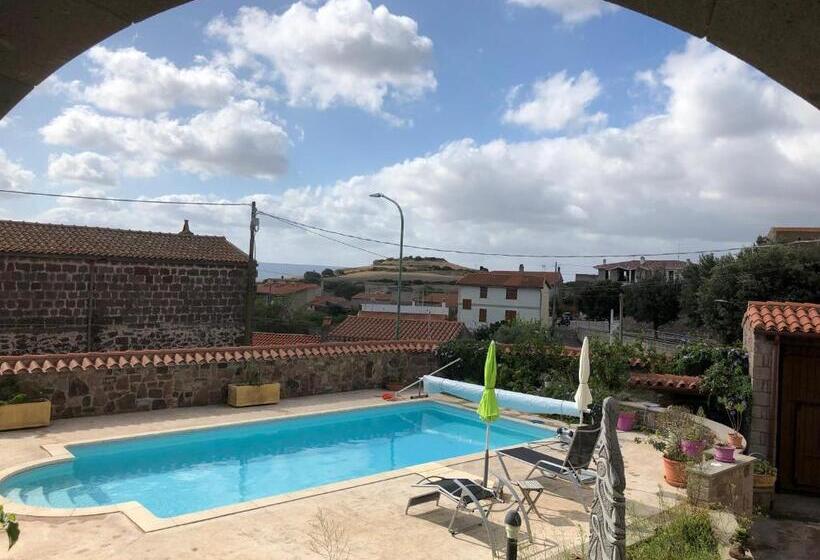 스탠다드 룸 풀장 전망, Sard Paradise