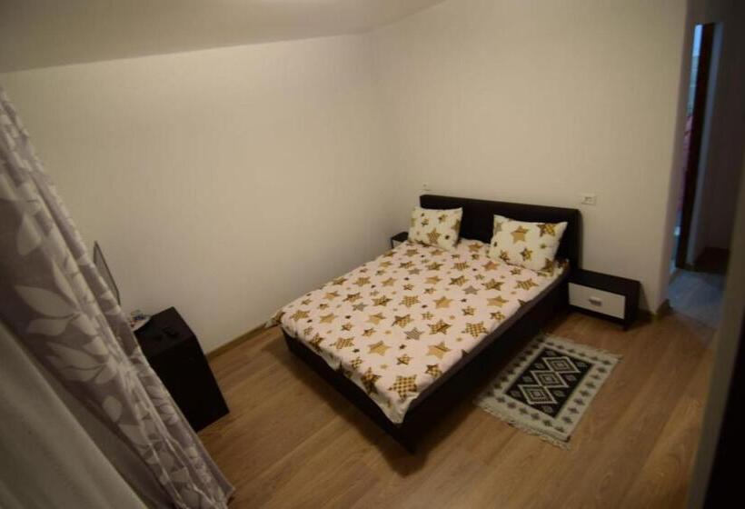 غرفة قياسية, Agropensiune Casa Sonia