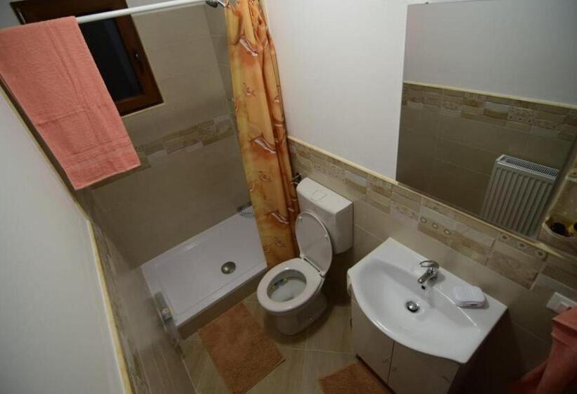 غرفة قياسية, Agropensiune Casa Sonia