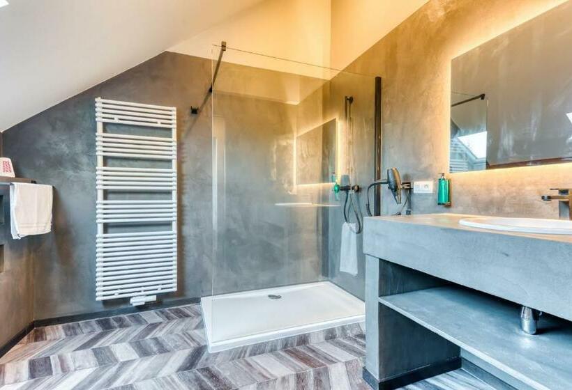 חדר סטנדרט, Les Chambres Du Domaine Du Vieux Château