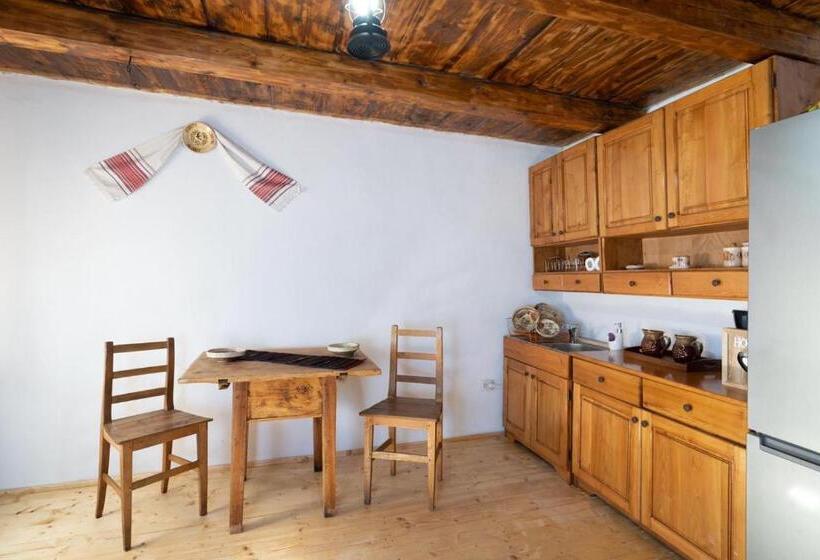 Апартаменты 2 Спальни, Casa Bunicilor Apuseni