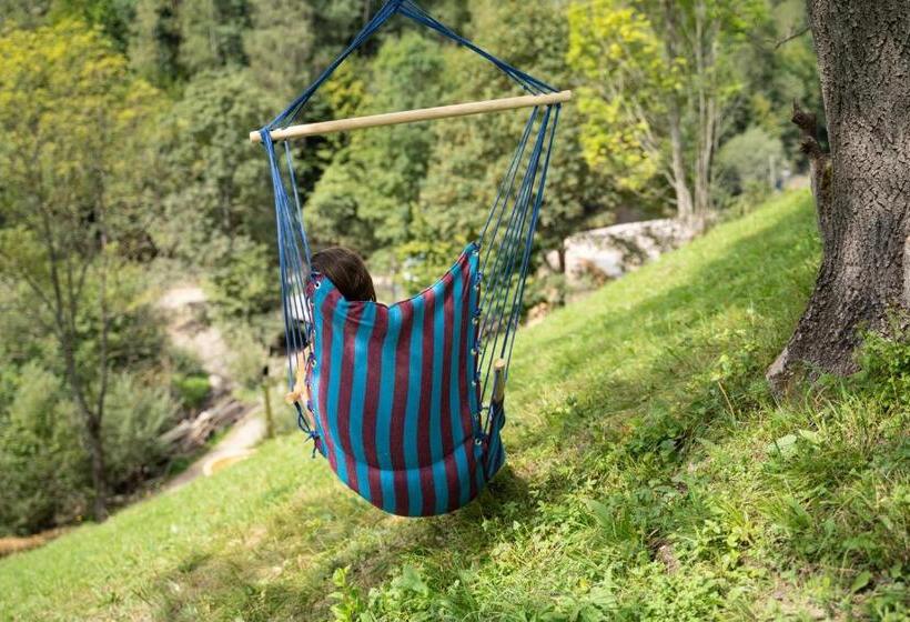 Номер Стандарт, Casa Bunicilor Apuseni