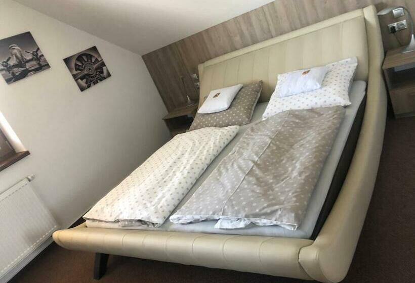 デラックスルーム, Penzion čavisov