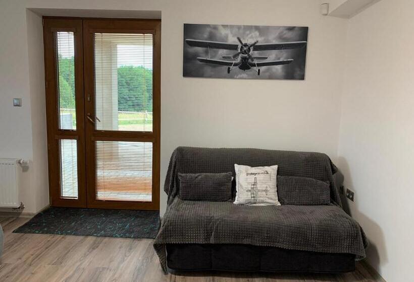 Номер Стандарт, Penzion čavisov