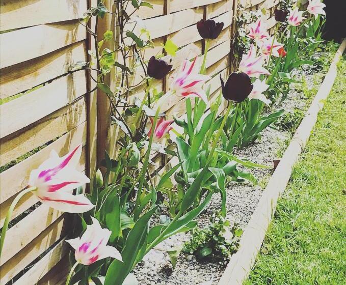 דירה בת חדר שינה 1 עם נוף, Lotus Oasis I Natural Food & Room Experience