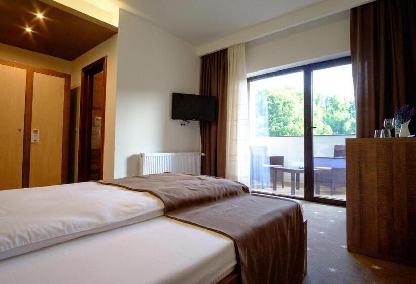 스탠다드 발코니 룸, Poezia