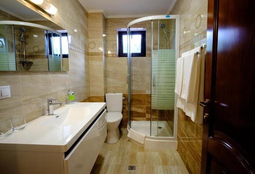 스탠다드 발코니 룸, Poezia