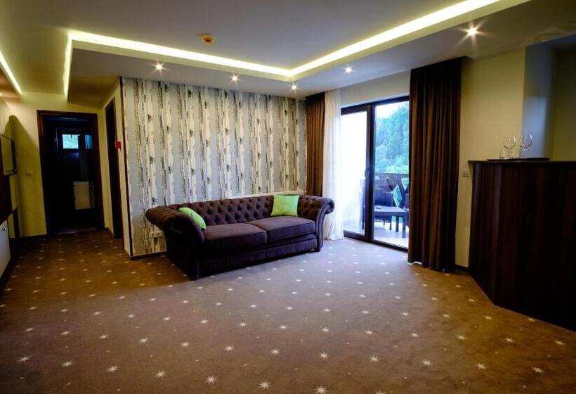 침실 1개 디럭스 아파트, Poezia