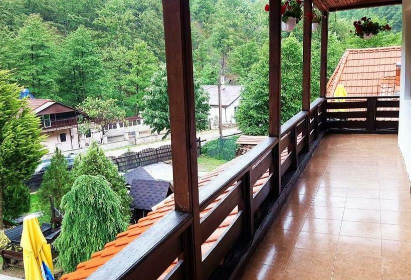 マウンテンビュースタンダードルーム, Hanul Vanatorului