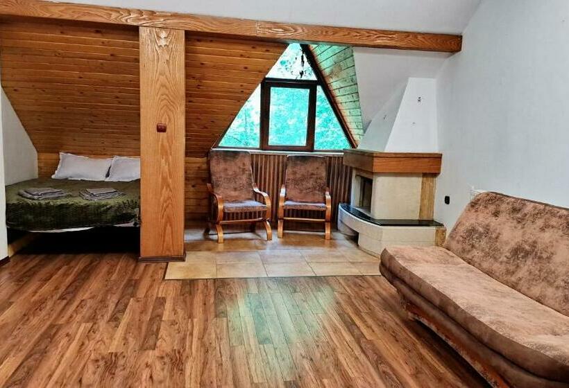 マウンテンビューファミリールーム, Hanul Vanatorului