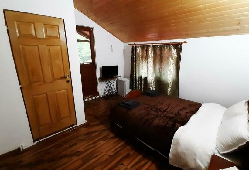 スタンダードシングルルーム, Hanul Vanatorului