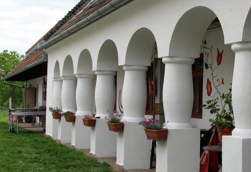 منزل 4 غرف نوم, Home Vendégház