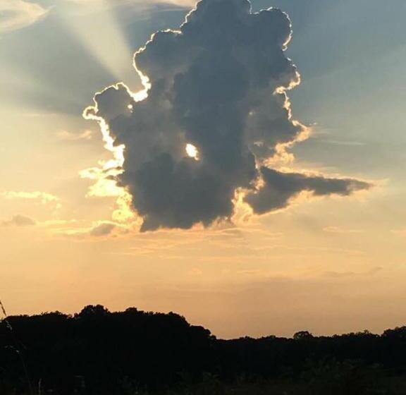 منزل 4 غرف نوم, Home Vendégház