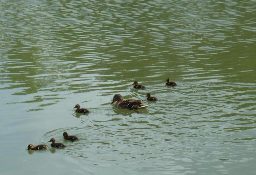 غرفة قياسية, Calme Au Bord De L Eau