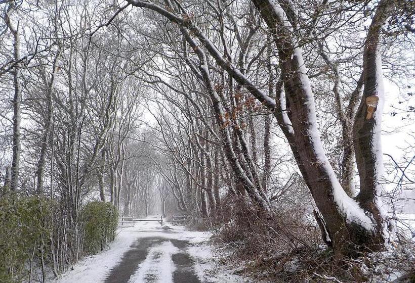 1间卧室的房子, Natuurhuisje  T Poepekrus