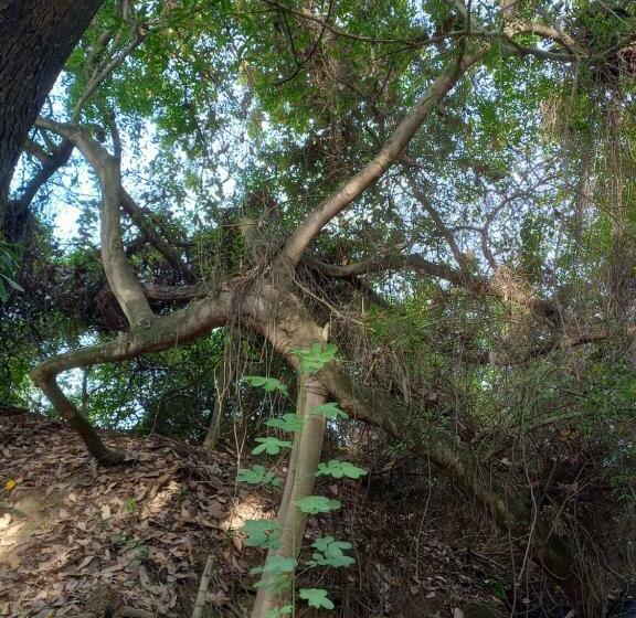 סוויטה עם בריכה, Finca Ecoturistica Los Jagueyes