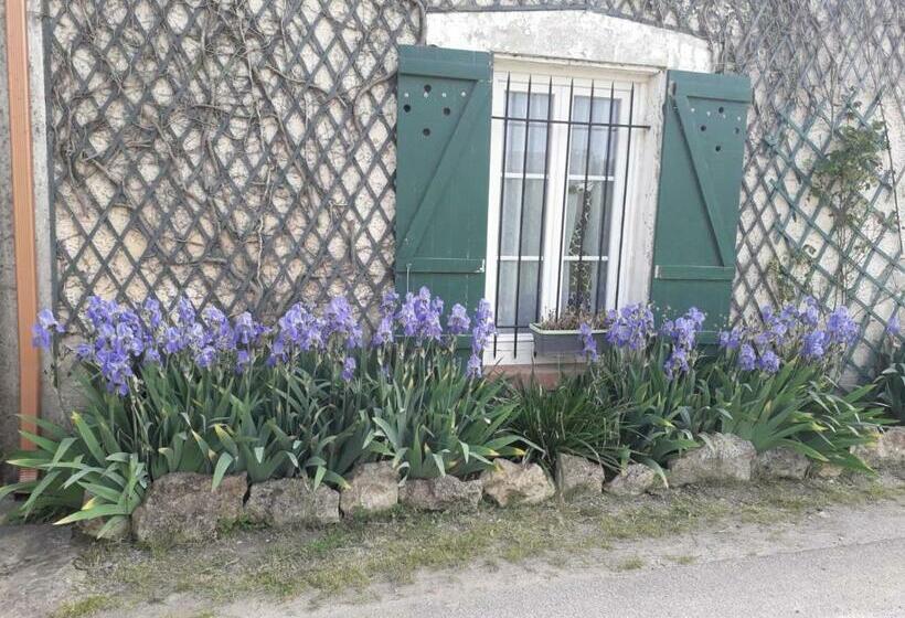 스탠다드 룸 가든 전망, Aline Et Dim