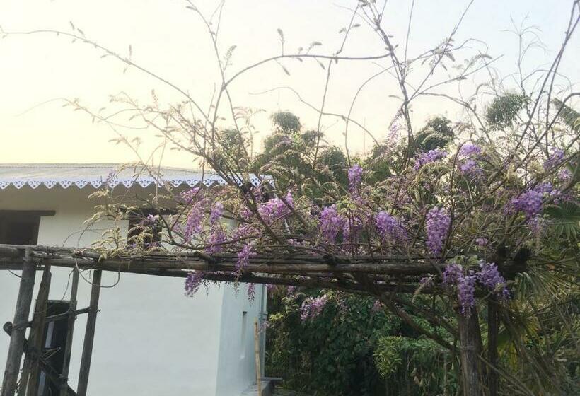 수피리어 패밀리 룸, Quo Vadis Farm