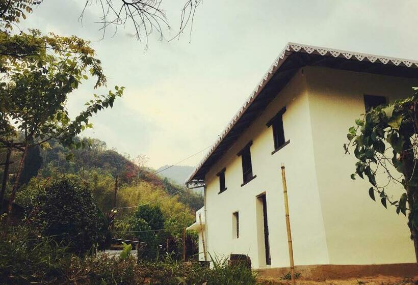 수피리어 패밀리 룸, Quo Vadis Farm