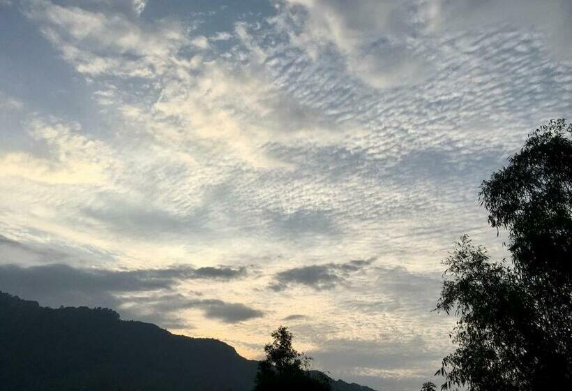 シングルデラックスルーム, Quo Vadis Farm