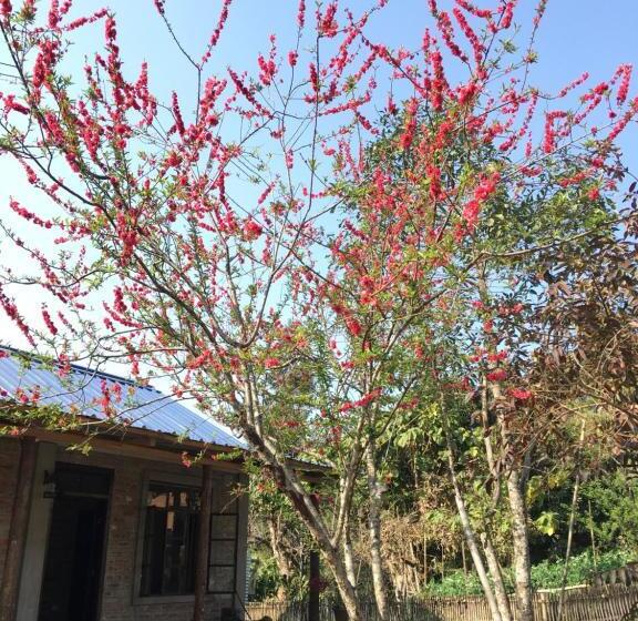 キングサイズベッドのデラックススイート, Quo Vadis Farm